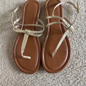 Stylish Gold Sandals by Kelly & Katie